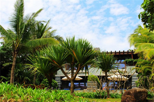 串串家园麻辣烫