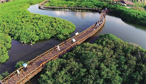 杨老大卤肉拌饭