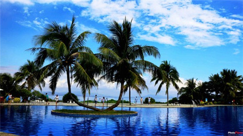 欢乐柠檬 创意饮品