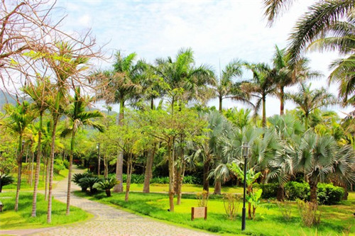 铅球加盟什么店赚钱，铅球厂家