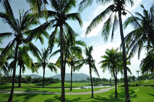 母婴店怎么分众创业者服务