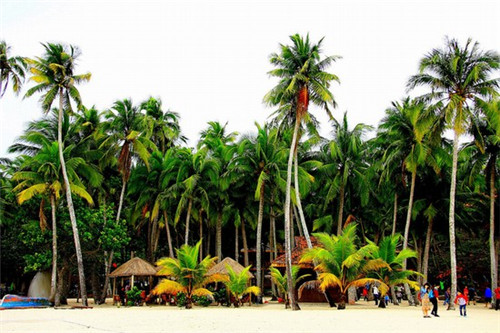 奶茶加盟店哪些品牌回本快，开一家臻享奶茶加盟店能不能赚钱