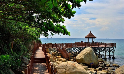 猴子膏药是什么意思（猴子贴药有用吗）