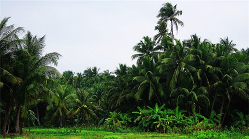 小敏家旧时光是什么歌（小敏家原著在线）