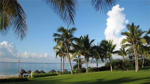 乡大集转移（地方镇大集）