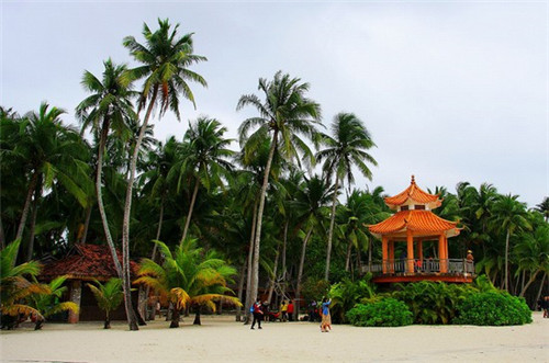 处女座男与水瓶女座配吗（处女座男与水瓶座女合适吗）