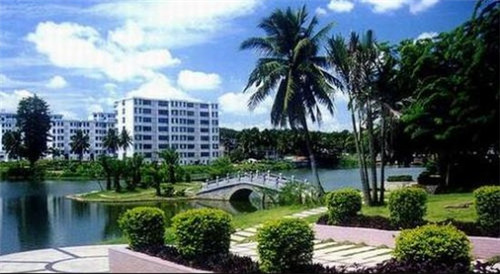 建立城池的头条小游戏（建立城池的头条小游戏怎么玩）