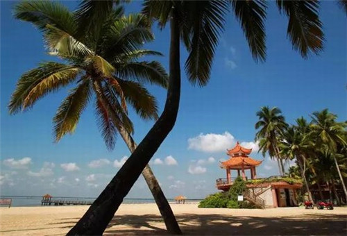 惠州茶巢奶茶店好不好玩