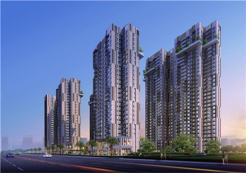 椰糠营养土京东自营（椰糠营养土怎么用）